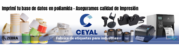 Imprimí tu base de datos en poliamida - Aseguramos calidad de impresión