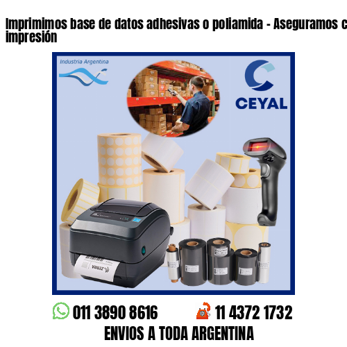 Imprimimos base de datos adhesivas o poliamida – Aseguramos calidad de impresión