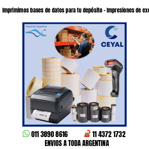 Imprimimos bases de datos para tu depósito – Impresiones de excelencia!