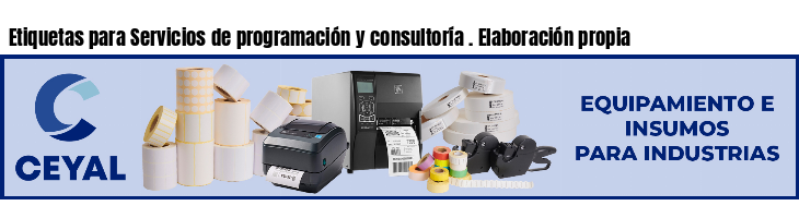 Etiquetas para Servicios de programación y consultoría . Elaboración propia