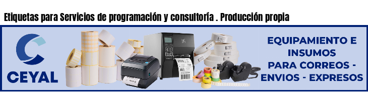 Etiquetas para Servicios de programación y consultoría . Producción propia