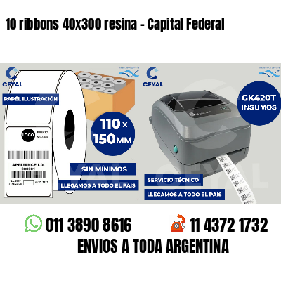 10 ribbons 40x300 resina - Capital Federal