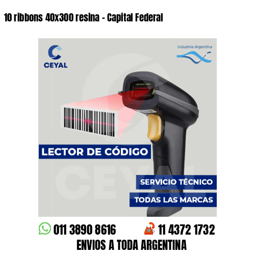 10 ribbons 40x300 resina - Capital Federal