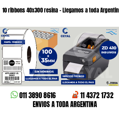 10 ribbons 40x300 resina - Llegamos a toda Argentina