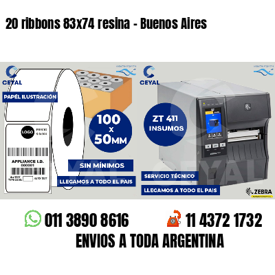 20 ribbons 83x74 resina - Buenos Aires