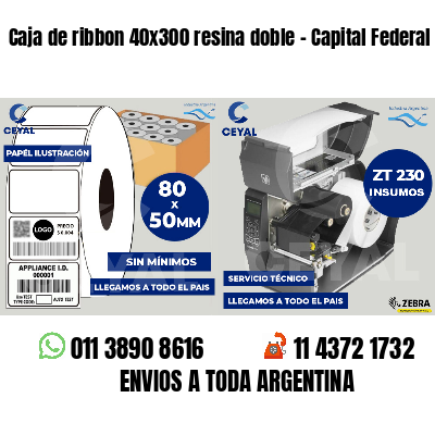 Caja de ribbon 40x300 resina doble - Capital Federal