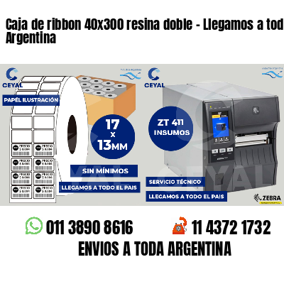 Caja de ribbon 40x300 resina doble - Llegamos a toda Argentina