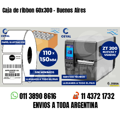 Caja de ribbon 60x300 - Buenos Aires