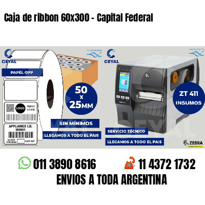 Caja de ribbon 60x300 - Capital Federal