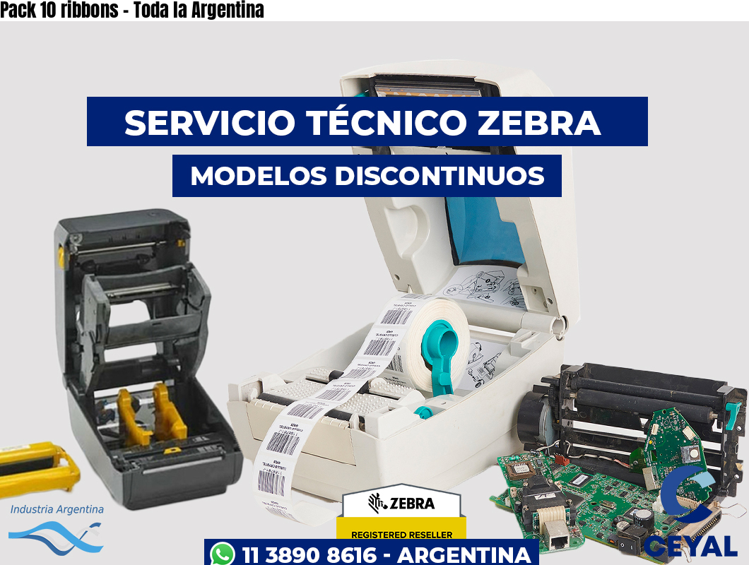 Pack 10 ribbons - Toda la Argentina