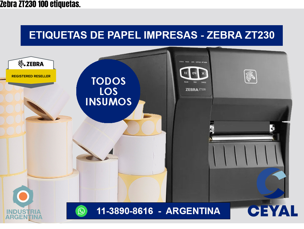 Zebra ZT230 100 etiquetas.