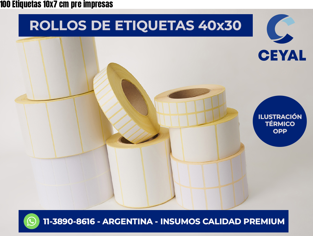100 Etiquetas 10×7 cm pre impresas