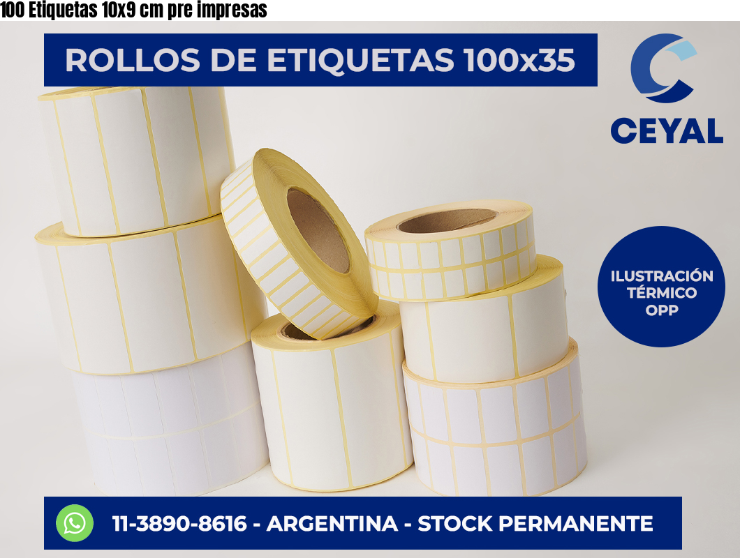 100 Etiquetas 10×9 cm pre impresas