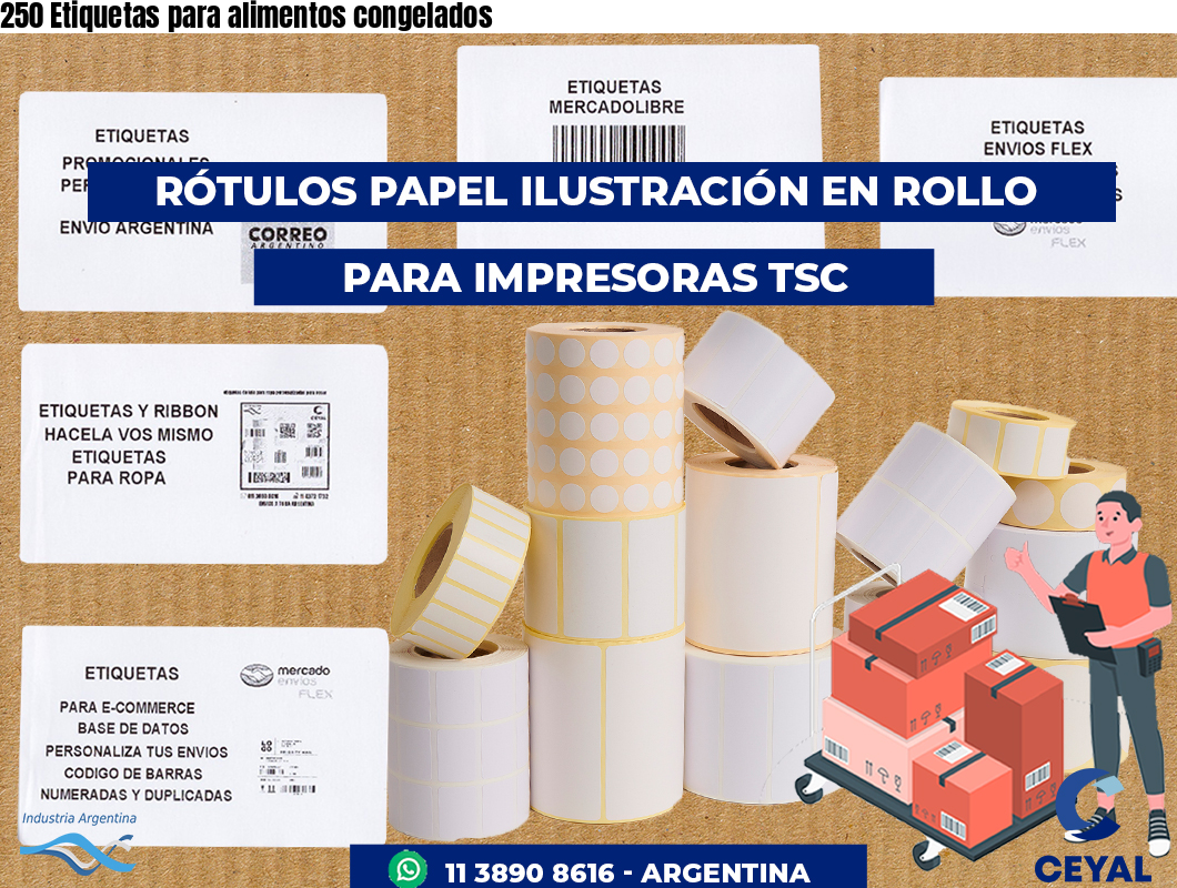 250 Etiquetas para alimentos congelados