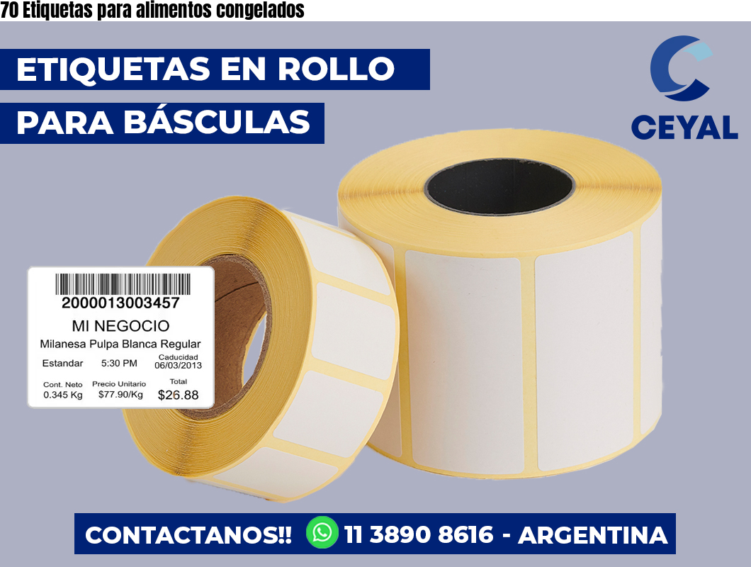 70 Etiquetas para alimentos congelados