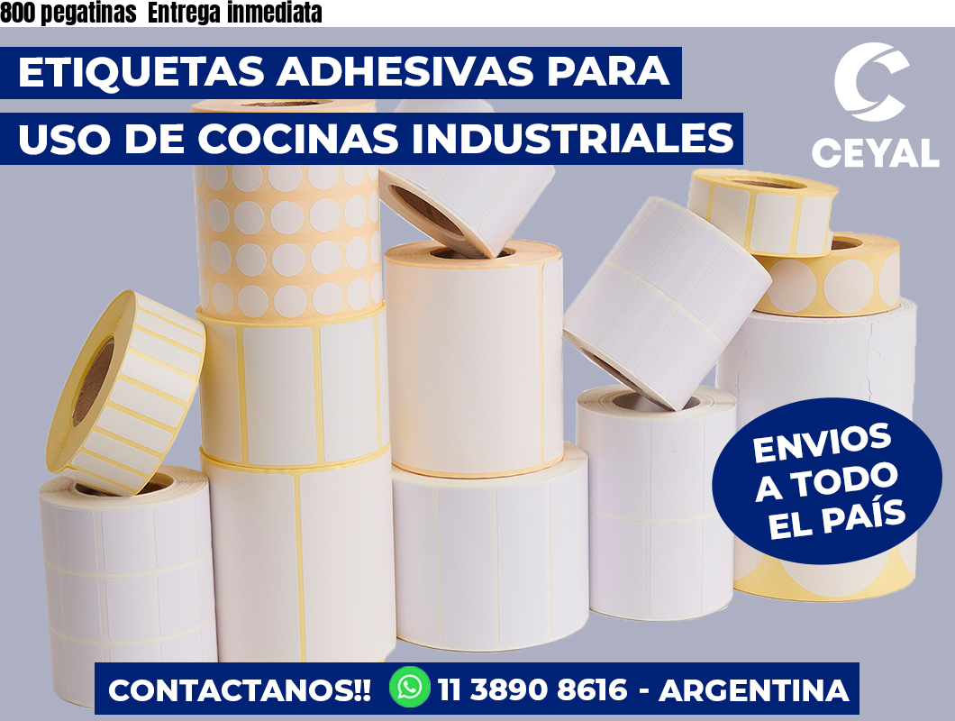800 pegatinas  Entrega inmediata