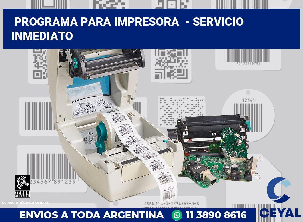 Programa para impresora  - Servicio inmediato