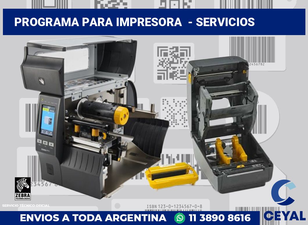 Programa para impresora - Servicios