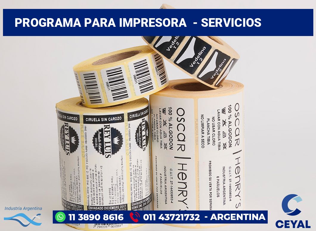 Programa para impresora - Servicios