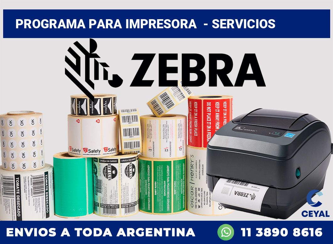 Programa para impresora  – Servicios