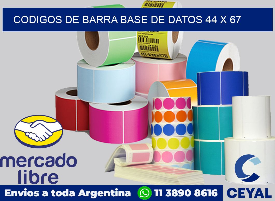 Codigos de barra base de datos 44 x 67