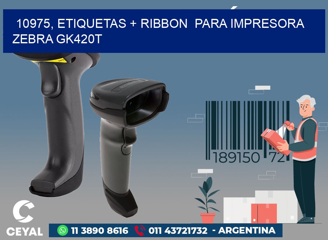 10975, etiquetas + ribbon  para impresora zebra GK420T