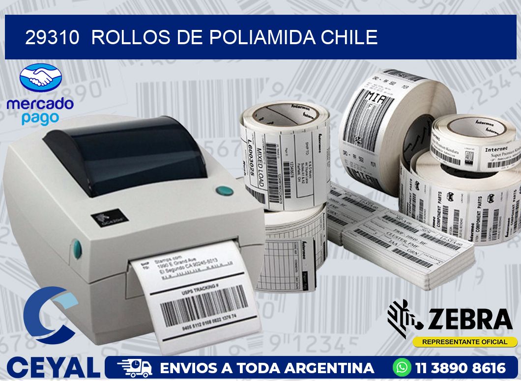 29310  ROLLOS DE POLIAMIDA CHILE