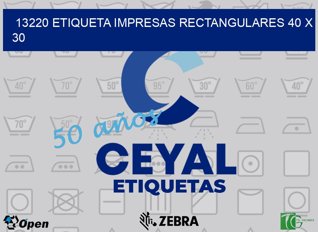 13220 ETIQUETA IMPRESAS RECTANGULARES 40 X 30