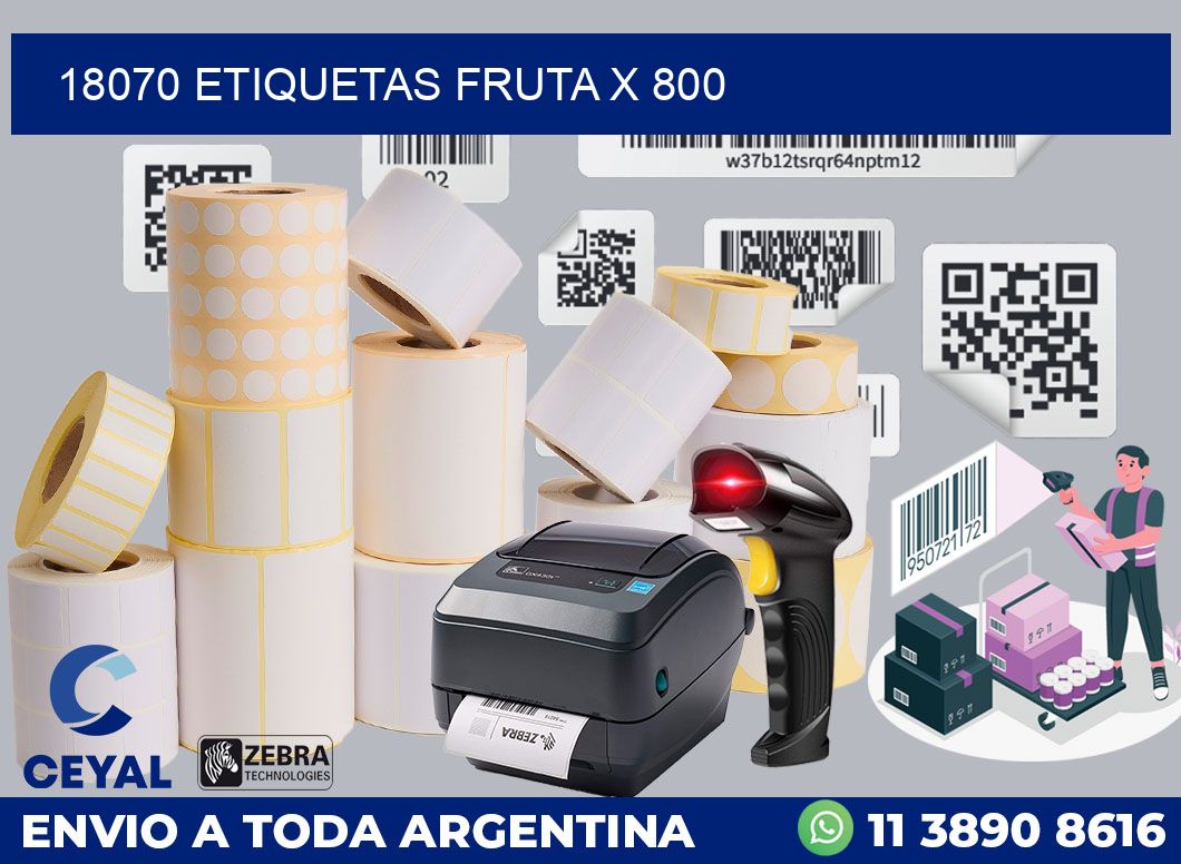 18070 etiquetas fruta x 800