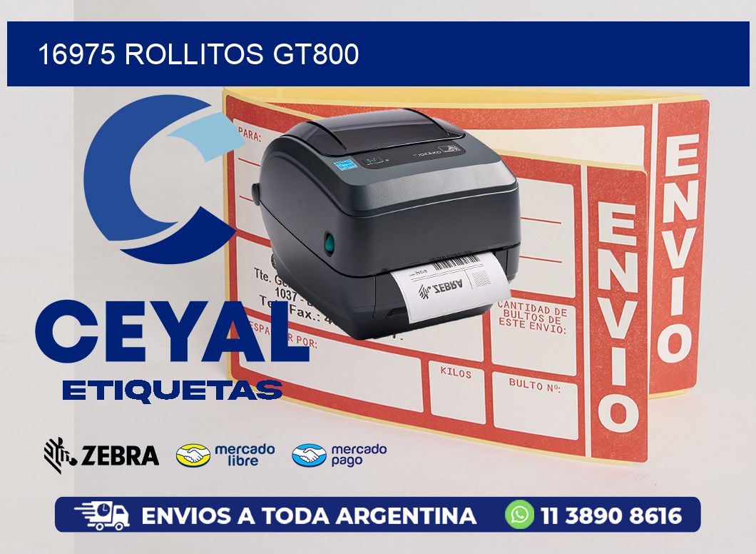 16975 ROLLITOS GT800