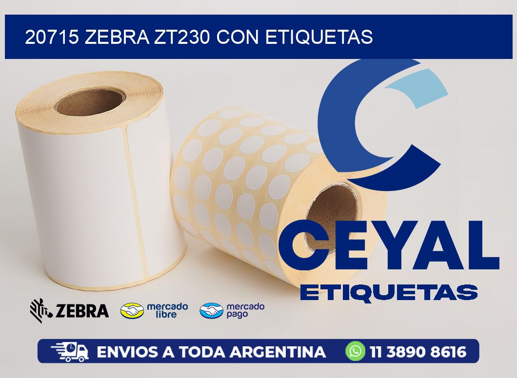 20715 Zebra ZT230 con Etiquetas