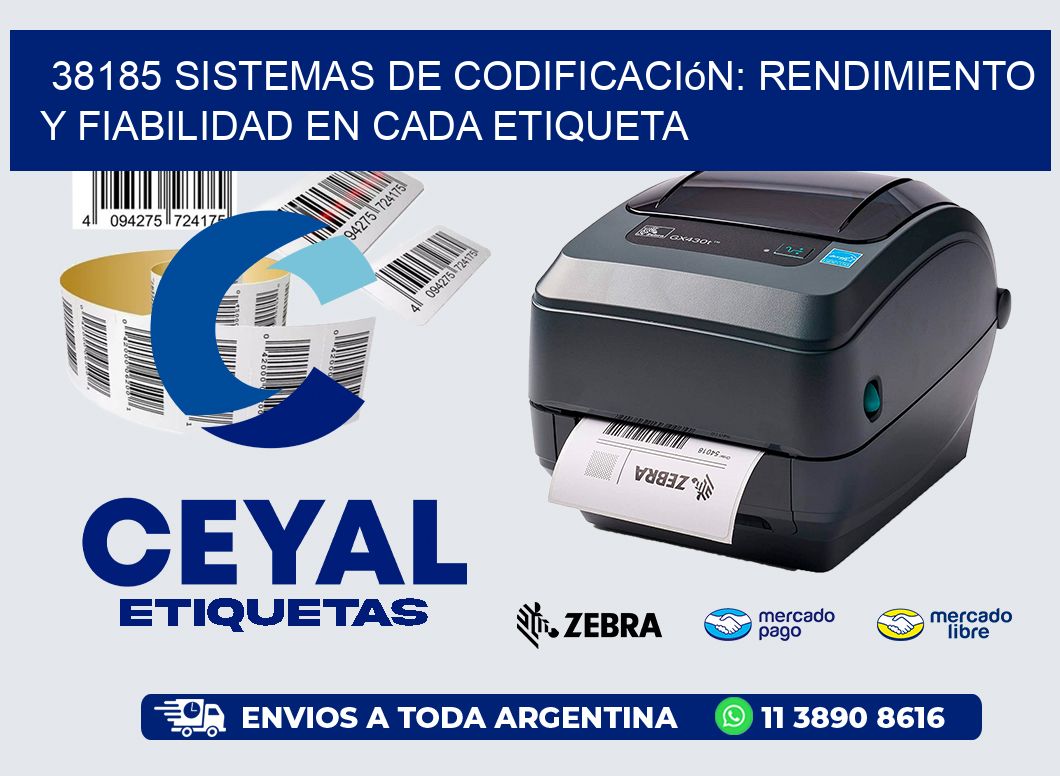 38185 Sistemas de Codificación: Rendimiento y Fiabilidad en Cada Etiqueta