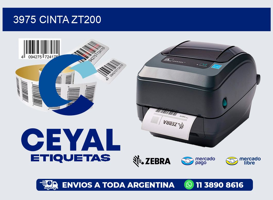 3975 CINTA ZT200