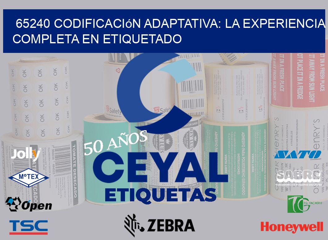 65240 Codificación Adaptativa: La Experiencia Completa en Etiquetado