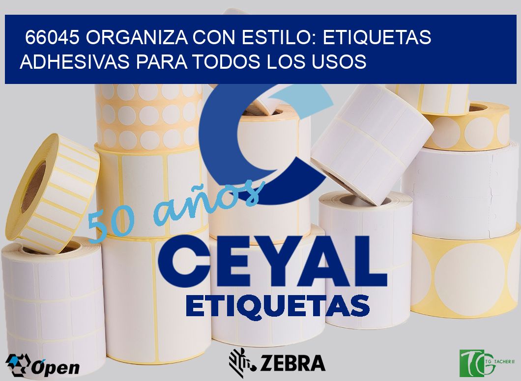 66045 Organiza con Estilo: Etiquetas Adhesivas para Todos los Usos