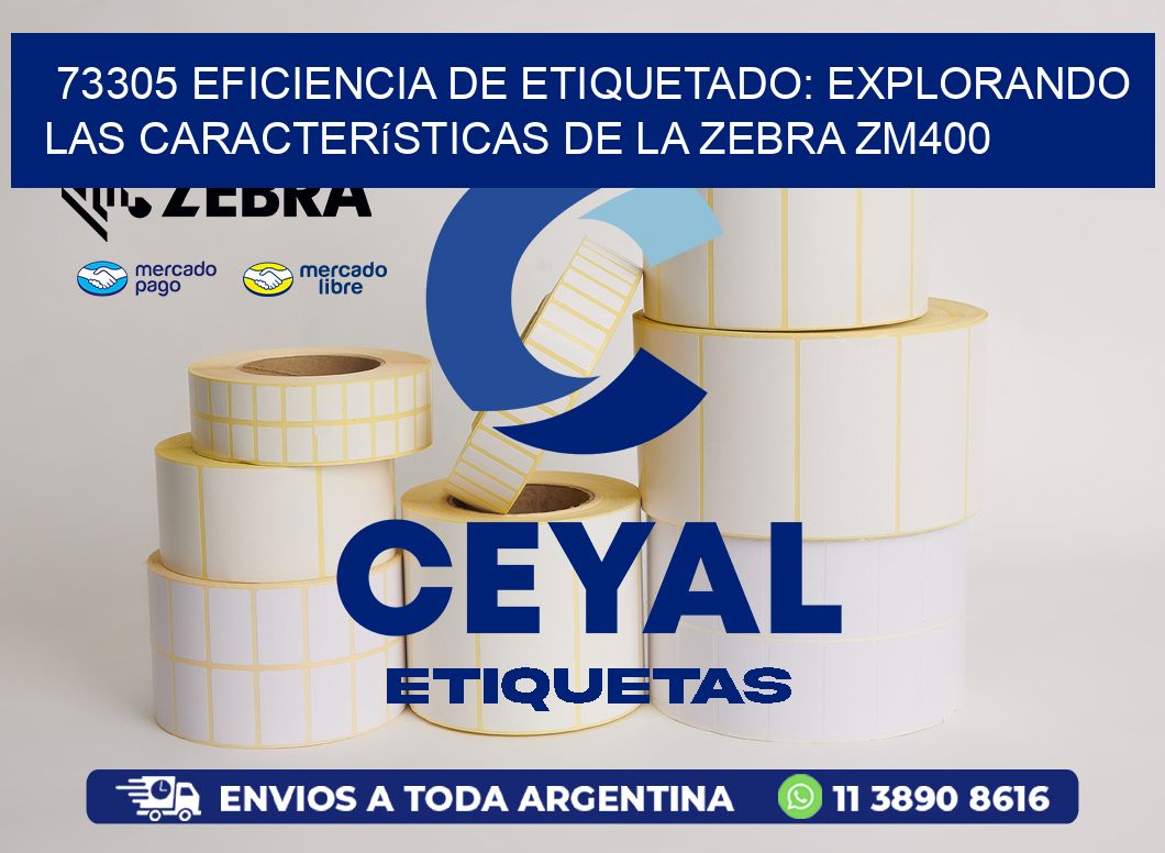 73305 Eficiencia de Etiquetado: Explorando las Características de la Zebra ZM400