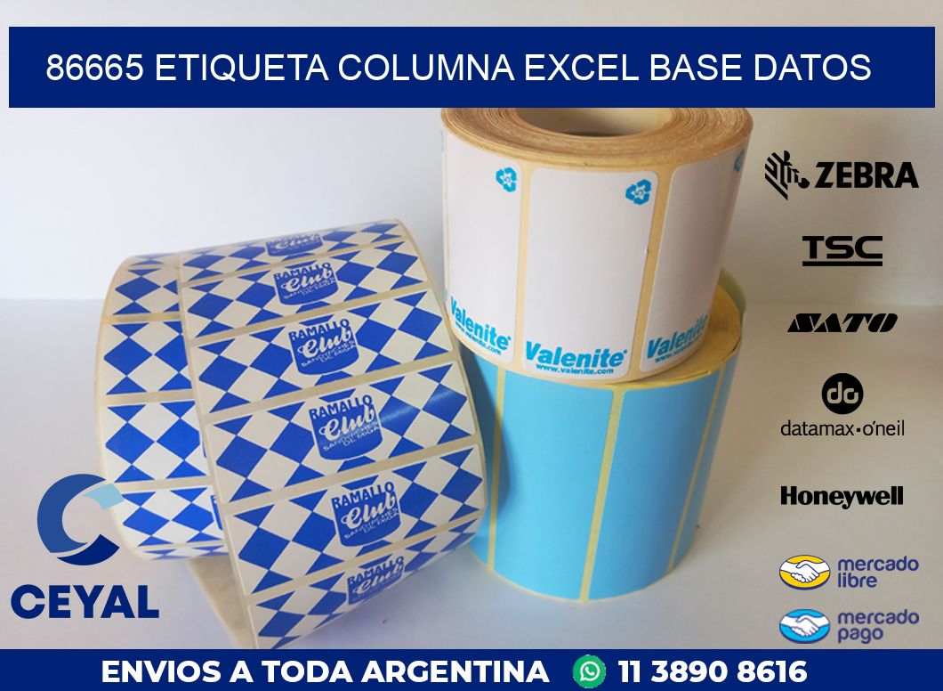 86665 etiqueta columna excel base datos