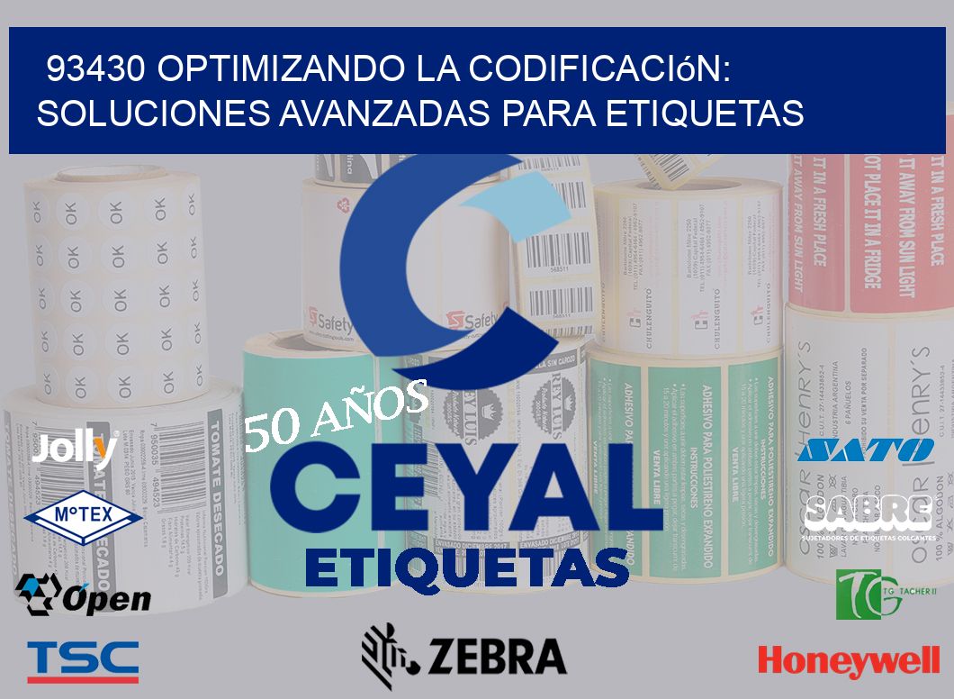 93430 Optimizando la Codificación: Soluciones Avanzadas para Etiquetas