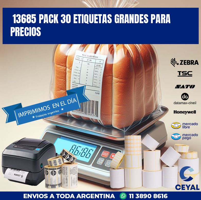 13685 PACK 30 ETIQUETAS GRANDES PARA PRECIOS