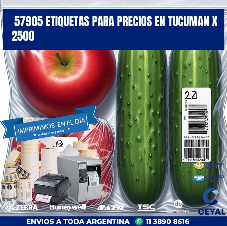 57905 ETIQUETAS PARA PRECIOS EN TUCUMAN X 2500