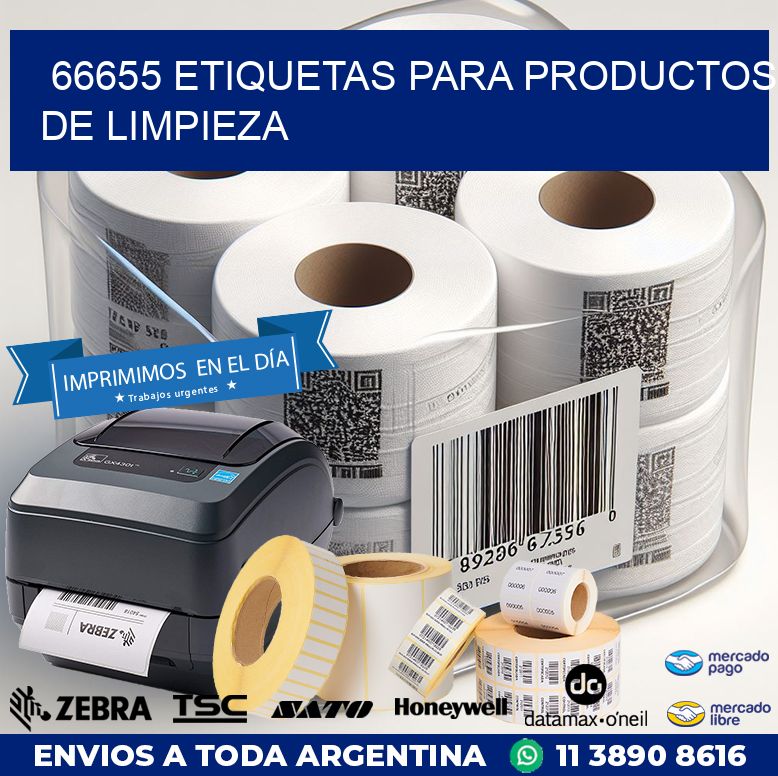 66655 ETIQUETAS PARA PRODUCTOS DE LIMPIEZA