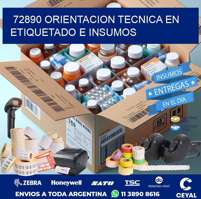 72890 ORIENTACION TECNICA EN ETIQUETADO E INSUMOS