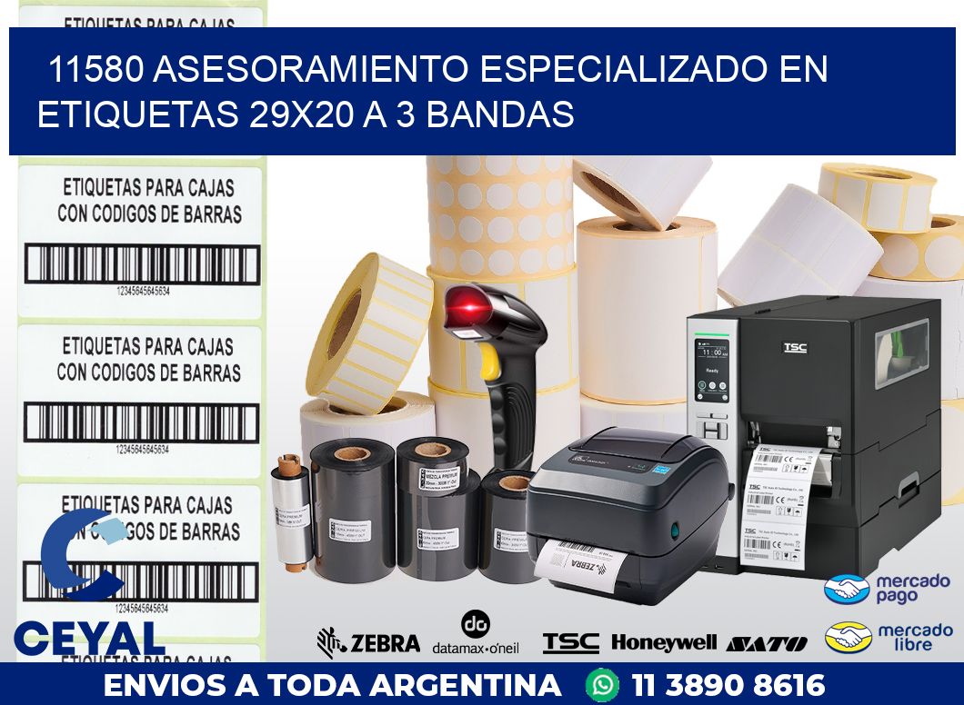 11580 ASESORAMIENTO ESPECIALIZADO EN ETIQUETAS 29X20 A 3 BANDAS