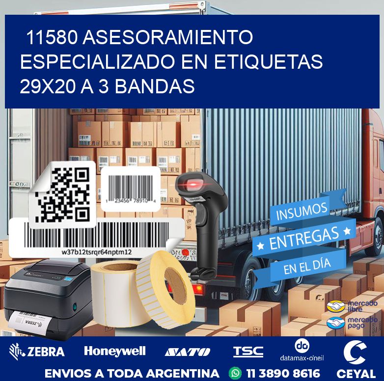 11580 ASESORAMIENTO ESPECIALIZADO EN ETIQUETAS 29X20 A 3 BANDAS