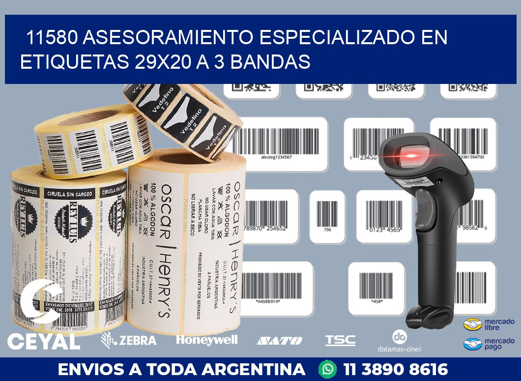 11580 ASESORAMIENTO ESPECIALIZADO EN ETIQUETAS 29X20 A 3 BANDAS