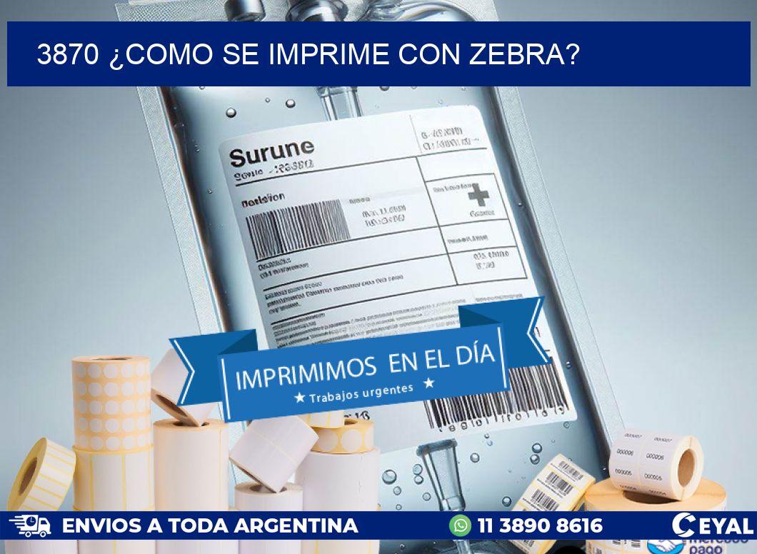 3870 ¿COMO SE IMPRIME CON ZEBRA?