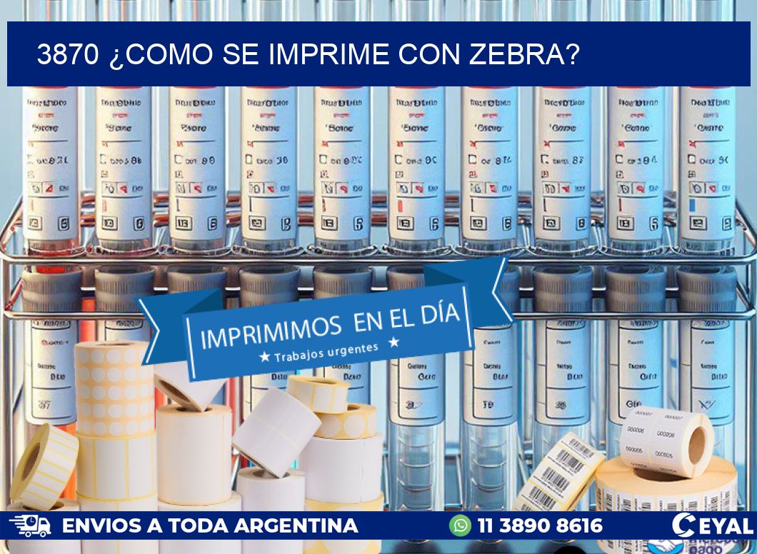 3870 ¿COMO SE IMPRIME CON ZEBRA?