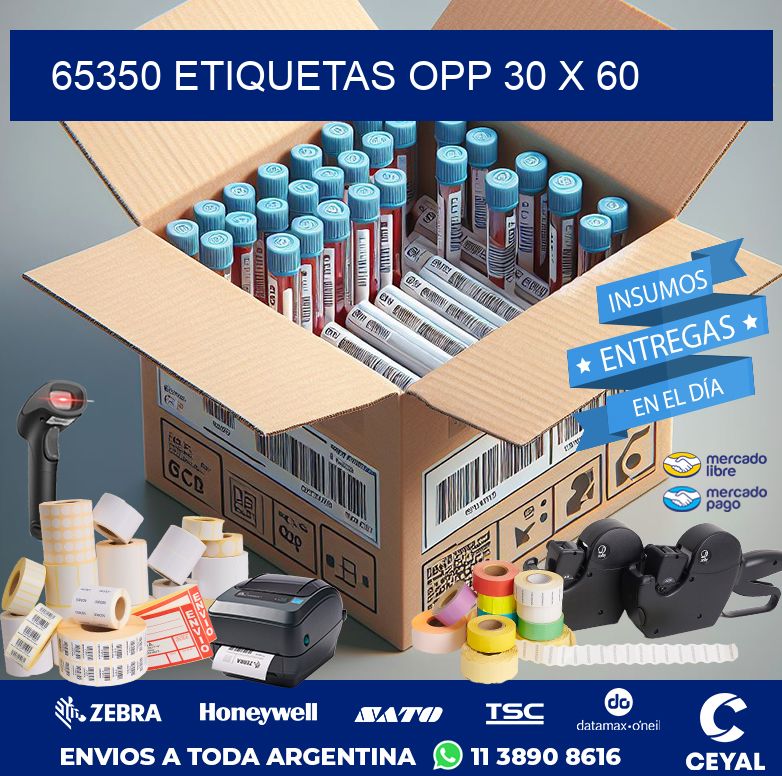65350 ETIQUETAS OPP 30 X 60