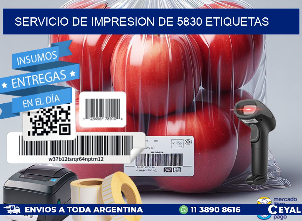 SERVICIO DE IMPRESION DE 5830 ETIQUETAS