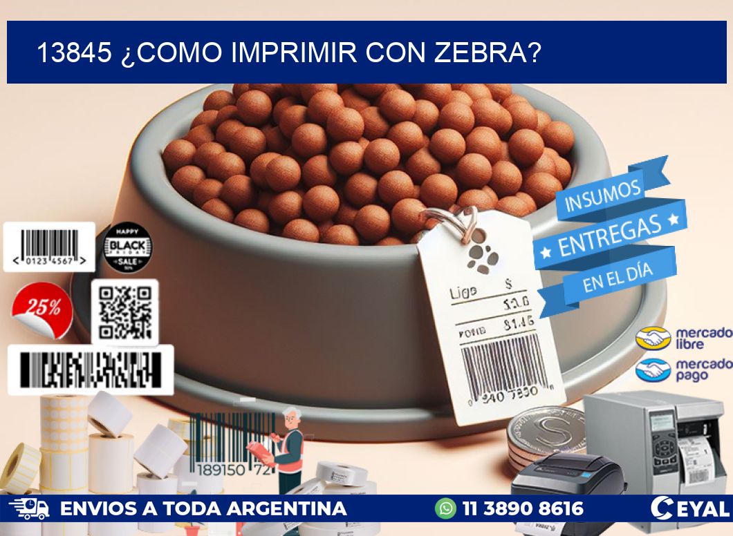 13845 ¿COMO IMPRIMIR CON ZEBRA?